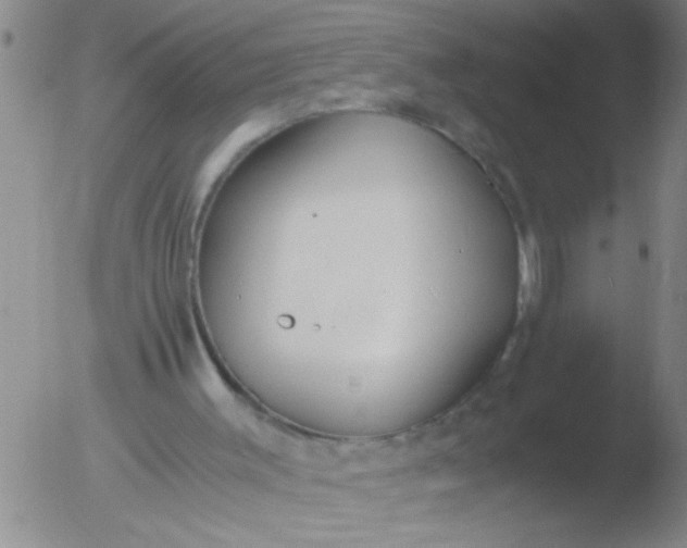 X0000051910003200507082041