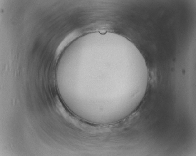 X0000051910004200507082041