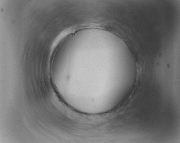 X0000051910006200507082041