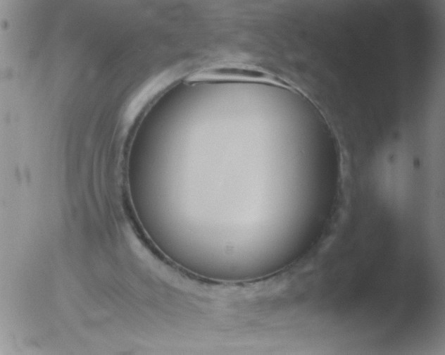 X0000051910007200507082041