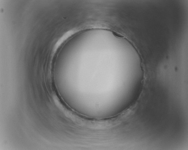 X0000051910008200507082041