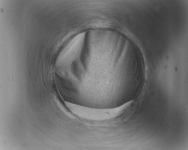 X0000051910009200507082041