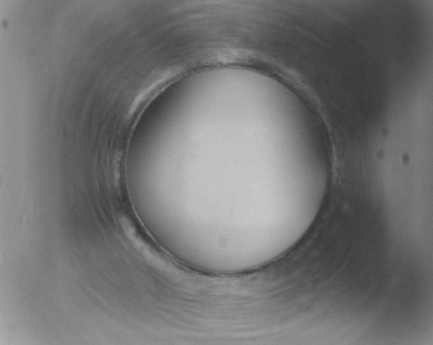 X0000051910010200507082041