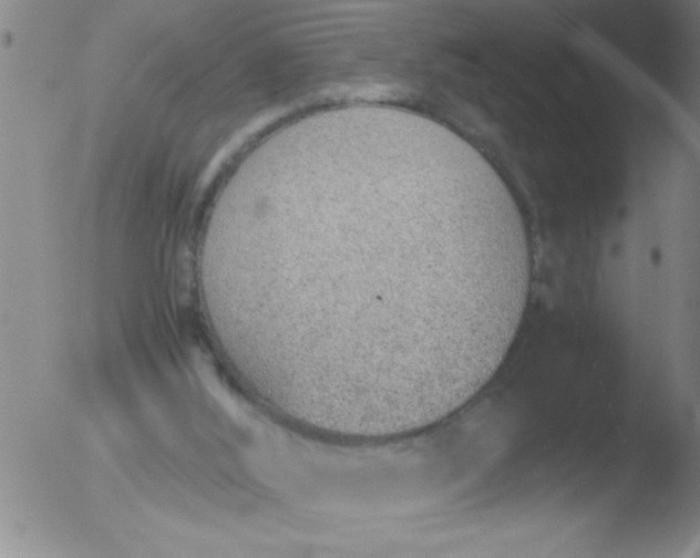 X0000051910012200507082041