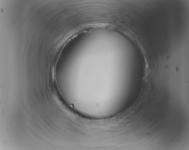 X0000051910013200507082041