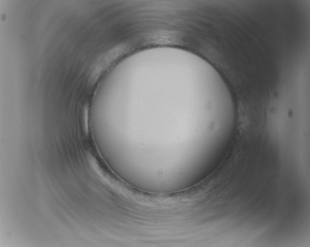 X0000051910014200507082041