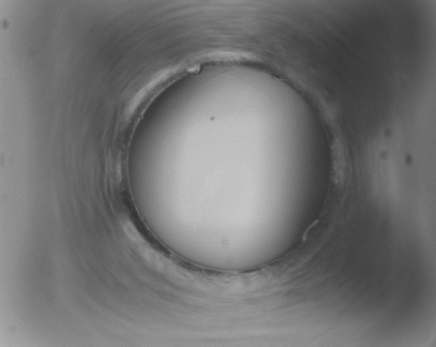 X0000051910015200507082041