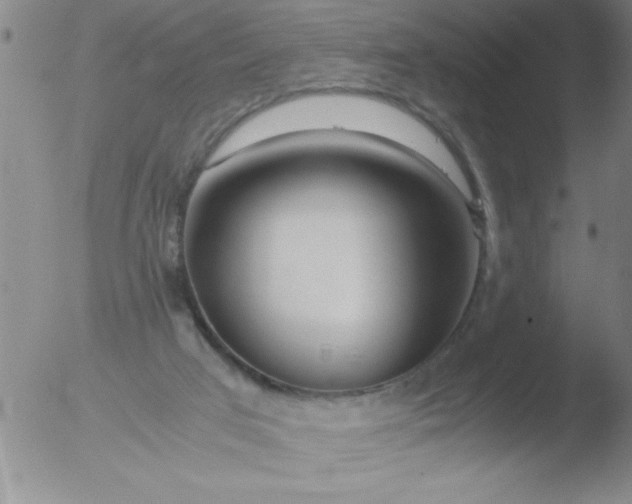 X0000051910017200507082041