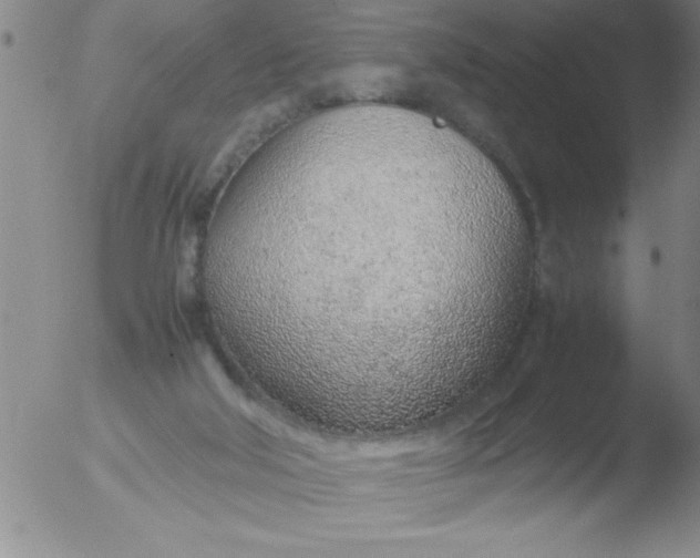 X0000051910018200507082041