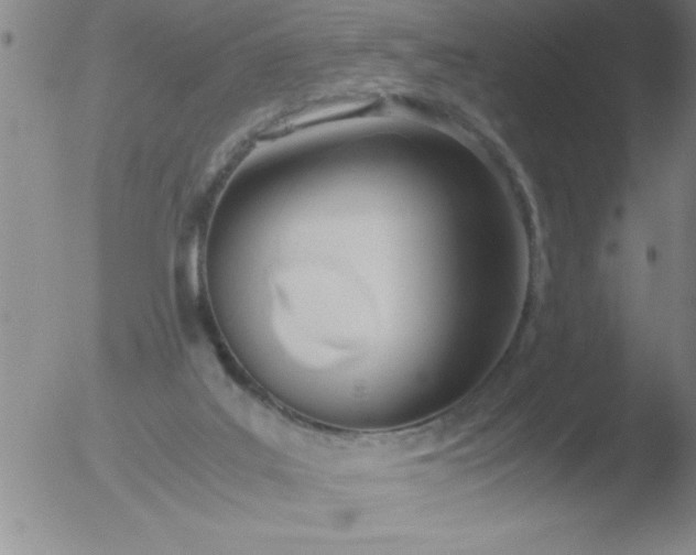 X0000051910019200507082041