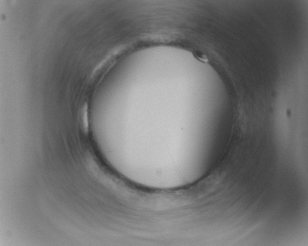 X0000051910020200507082041