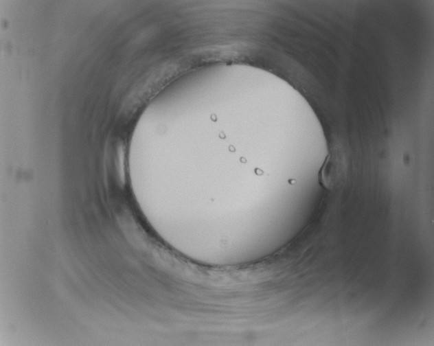 X0000051910022200507082041