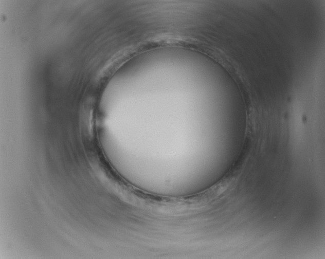 X0000051910024200507082041