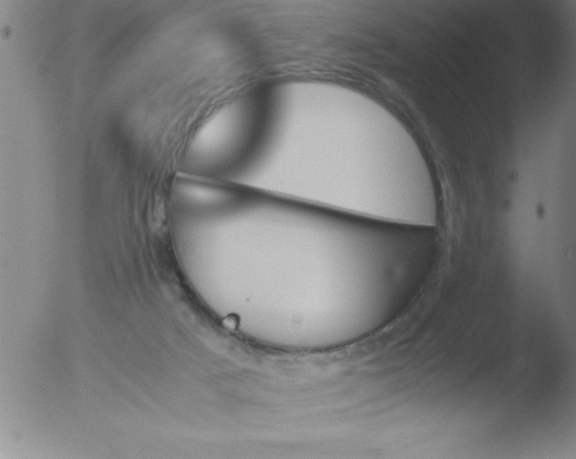 X0000051910025200507082041