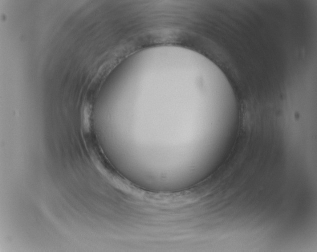 X0000051910026200507082041