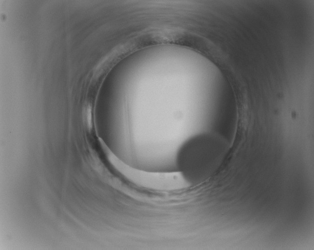 X0000051910027200507082041