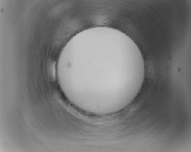 X0000051910028200507082041