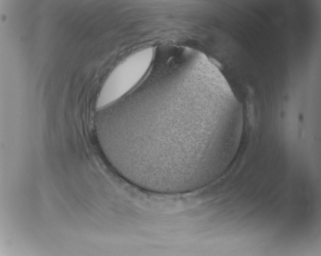 X0000051910029200507082041