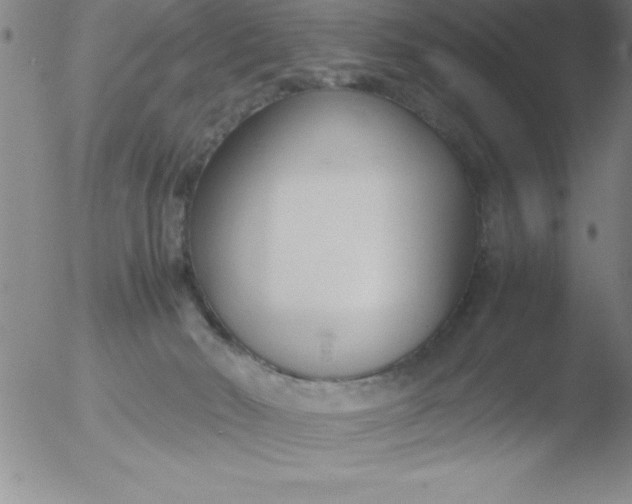 X0000051910030200507082041