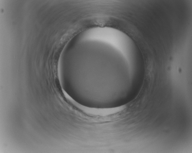 X0000051910031200507082041