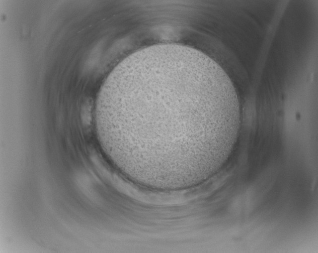 X0000051910032200507082041