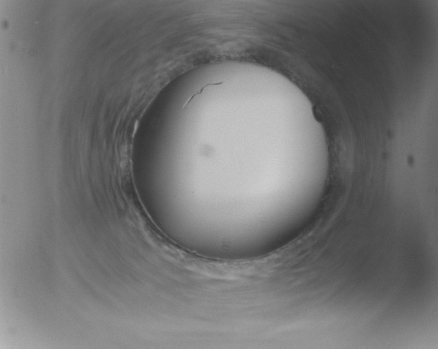 X0000051910033200507082041