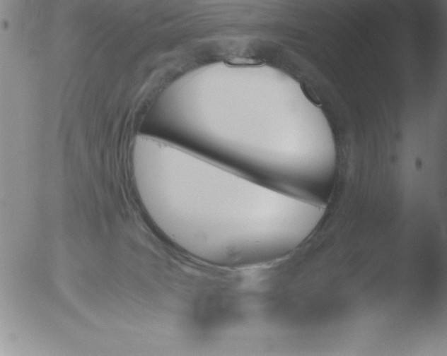 X0000051910035200507082041