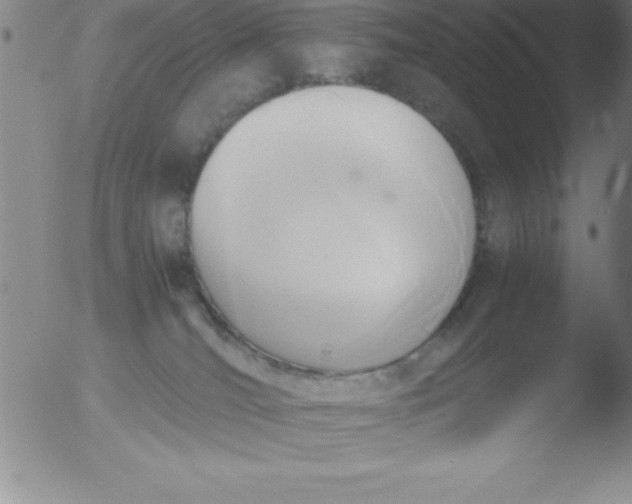 X0000051910036200507082041