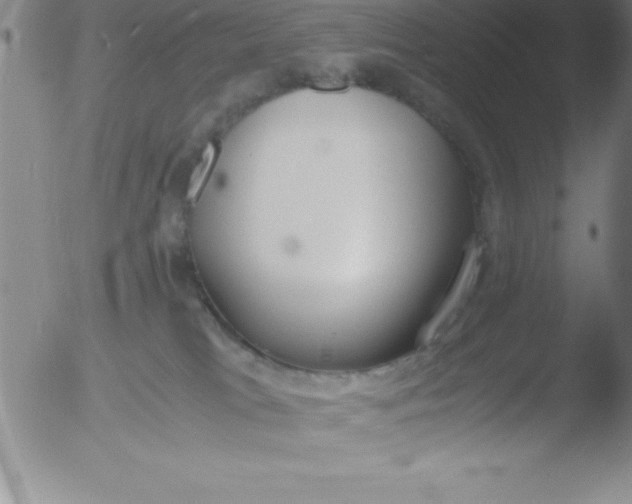 X0000051910037200507082041