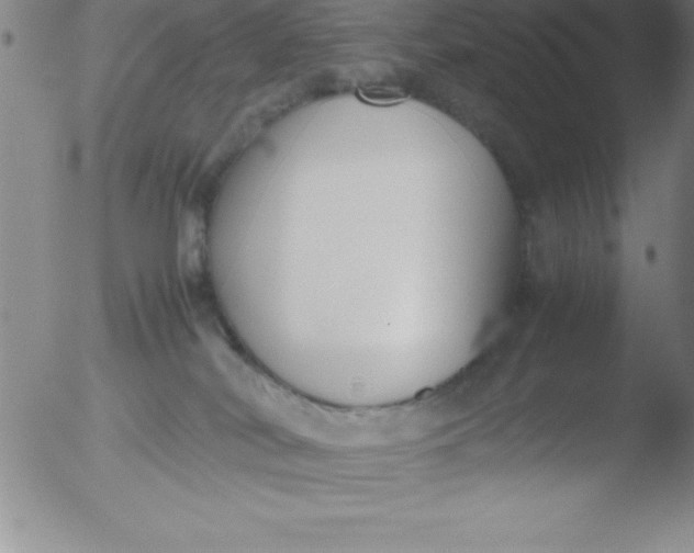 X0000051910038200507082041