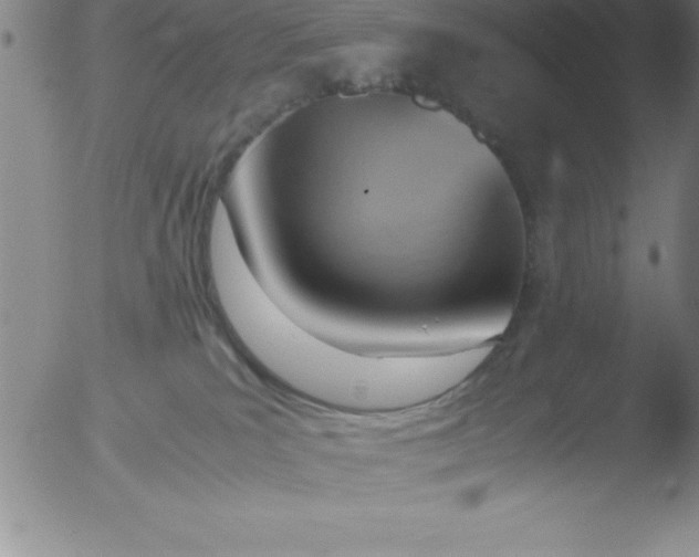 X0000051910039200507082041