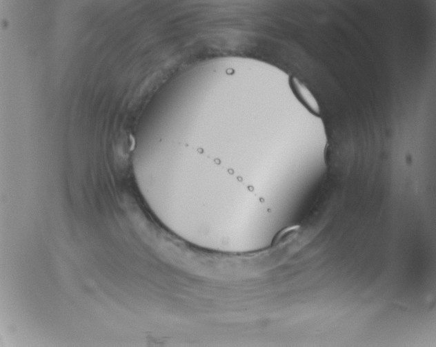 X0000051910040200507082041