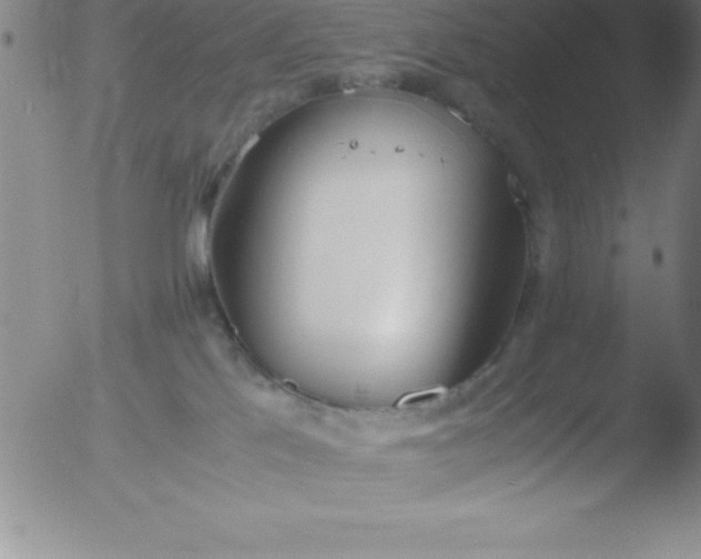 X0000051910041200507082041