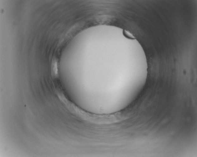 X0000051910042200507082041