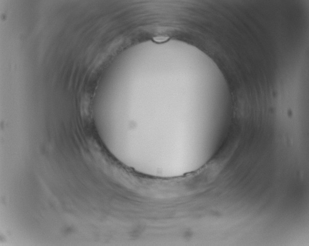 X0000051910044200507082041