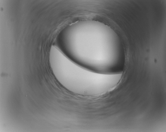 X0000051910045200507082041