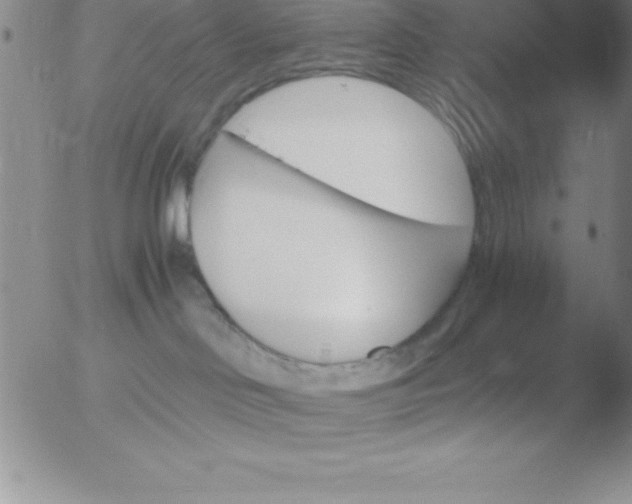 X0000051910046200507082041