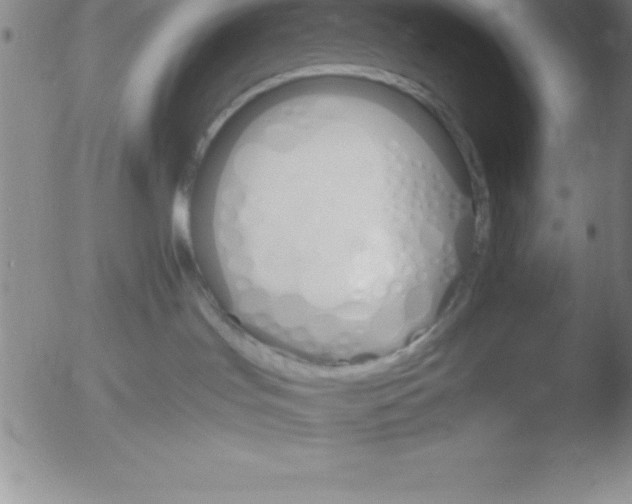 X0000051910047200507082041