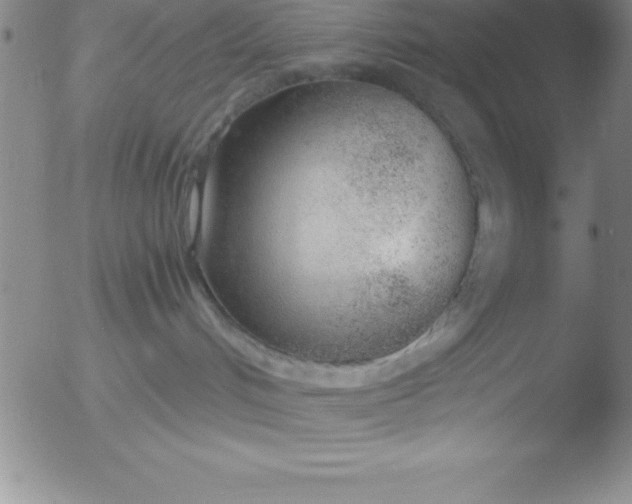 X0000051910048200507082040