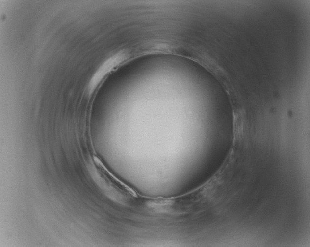 X0000051910051200507082040