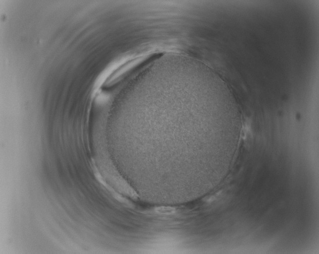 X0000051910052200507082040