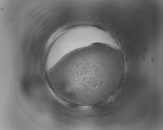 X0000051910053200507082040