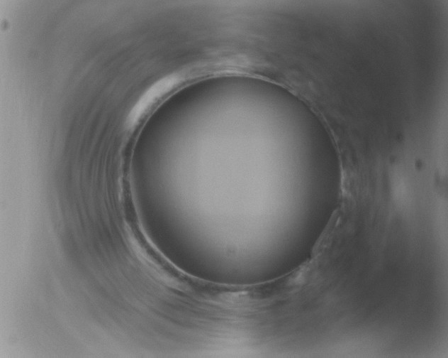 X0000051910054200507082040