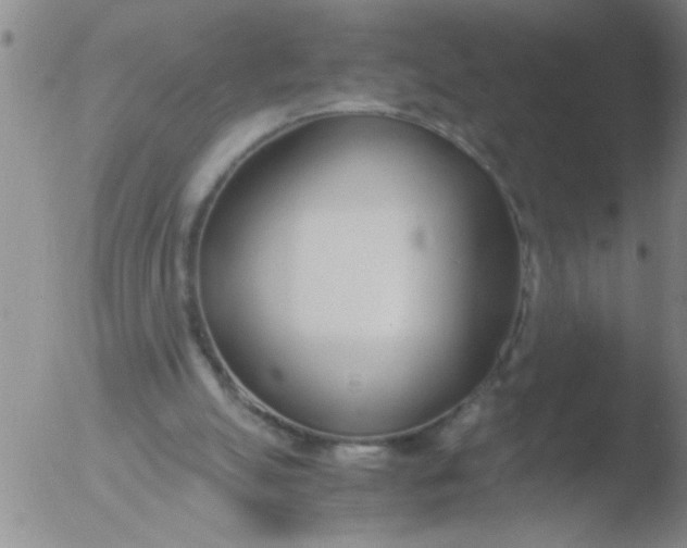 X0000051910055200507082040