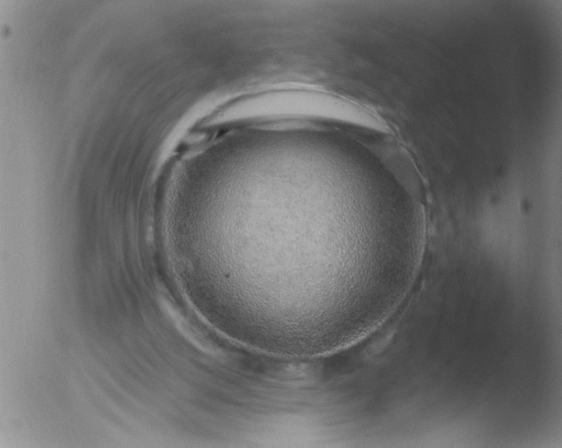 X0000051910056200507082040