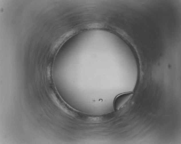 X0000051910057200507082040