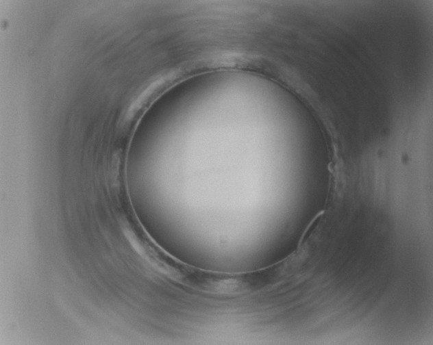 X0000051910058200507082040