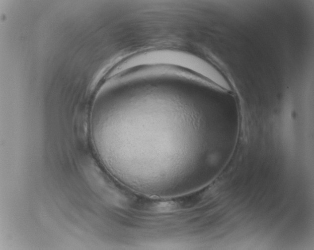 X0000051910059200507082040