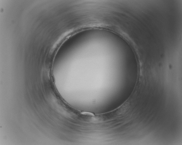 X0000051910060200507082040