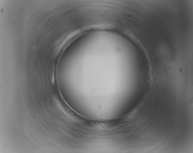 X0000051910062200507082040